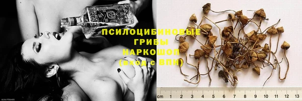 герыч Алзамай