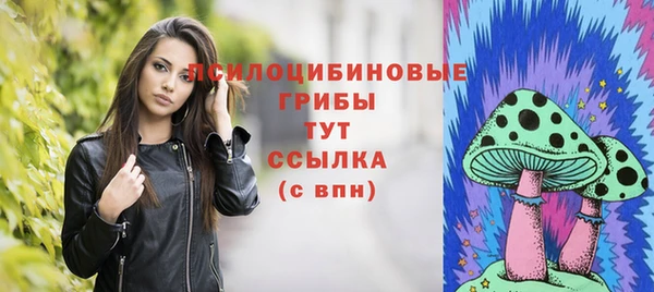 дживик Алексин