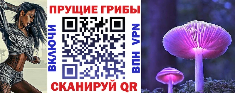 Псилоцибиновые грибы Psilocybine cubensis  где найти наркотики  Челябинск 